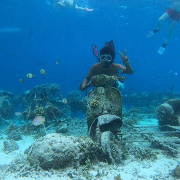 SNORKLING (1) SNORKLING (1)