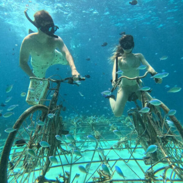 SNORKLING (2) SNORKLING (2)